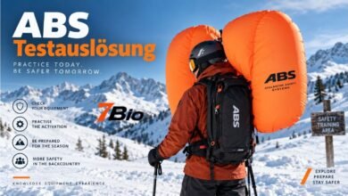 ABS Testauslösung