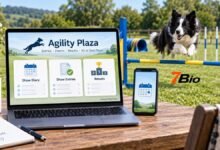 Agility Plaza