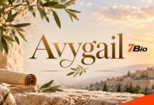 Avygail