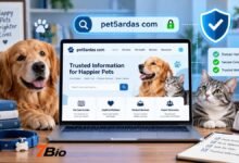pet5ardas com