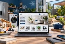 zingyzon.com